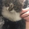 hannah_12345701